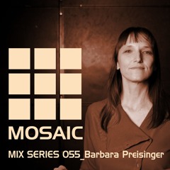 Mosaic Mix Series 055 _Barbara Preisinger