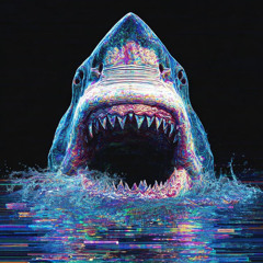 MELODIC OF SHARK 10