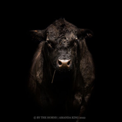 ACID ANGUS SESSIONS VOL1