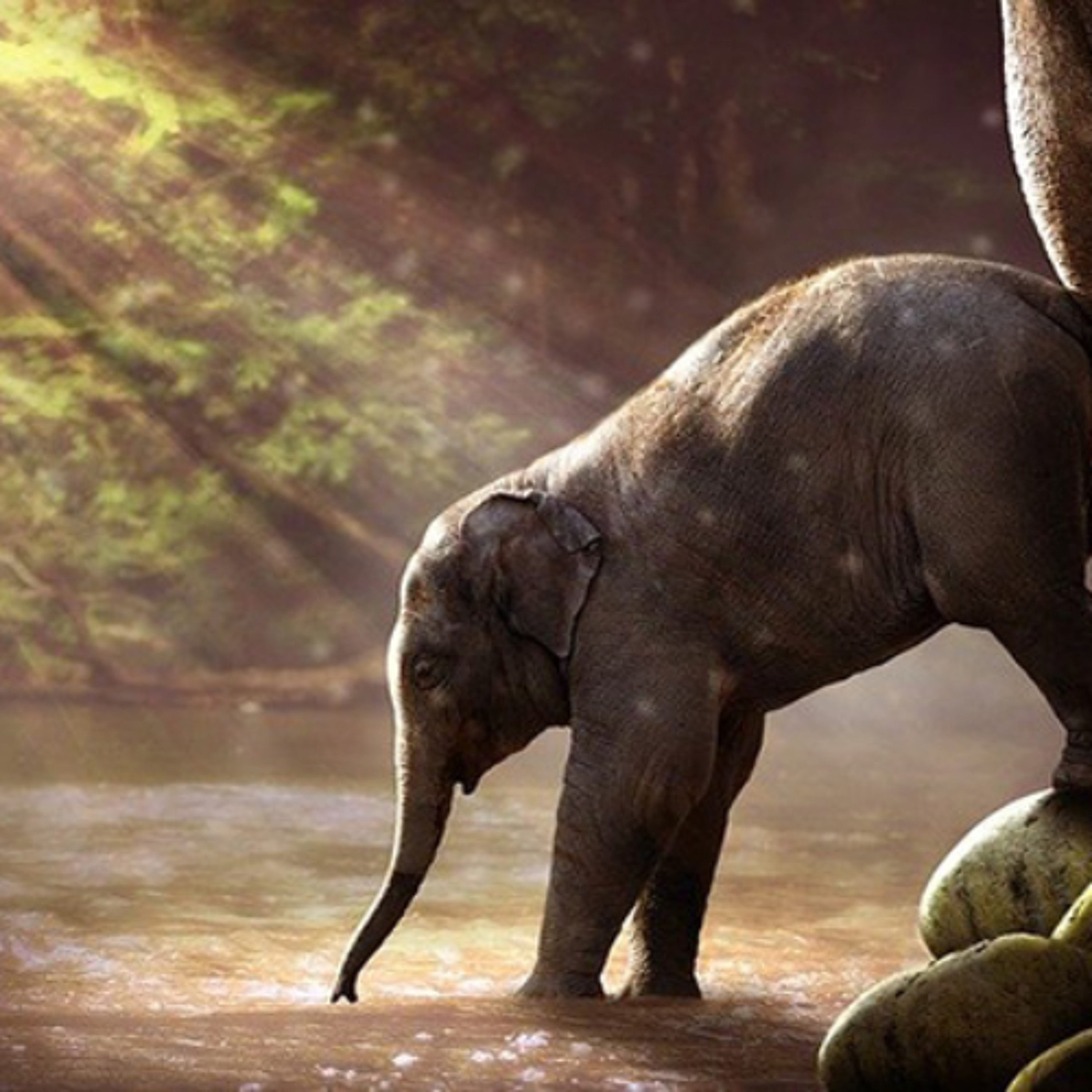Food for the soul - Are you feeling stuck? - Jim Ryan – 25/04/25 episode artwork