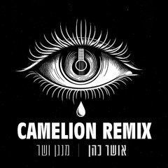 אושר  כהן - מנגן ושר (Dj Camelion Wedding Remix)
