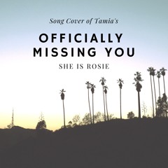 Officially Missing You | Tamia Song Cover | Live Session
