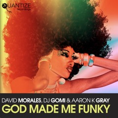 GOD MADE ME FUNKY - David Morales Kings of House NYC Instrumental