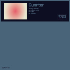 Premiere : Gunnter - Lazy Sunday (DOW042)