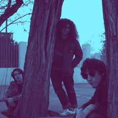 Focos y bares (ensayo)