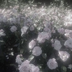 現夢、 현몽 // w。ENEN