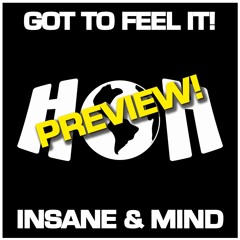 Insane & Mind - Got To Feel It - PREVIEW!!