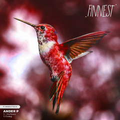 Ander P - Closing (Original Mix)