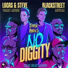 Lucas & Steve X Blackstreet Vs. Tommy Jayden & Artelax - No Diggety Time (Chase Miles Mashup)