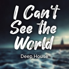 I Can't See the World