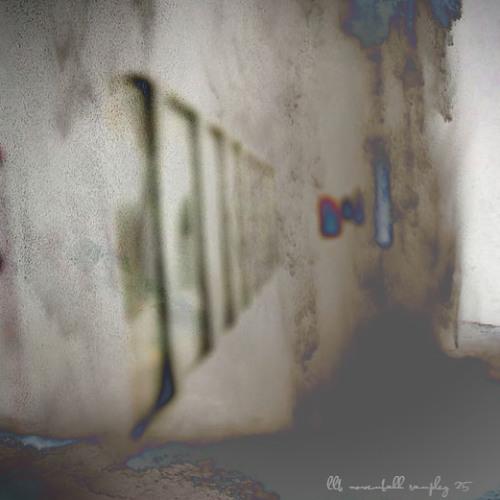 luvluvbae novembahh samplez 25