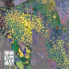 PREMIERE: MR TC - Phein [Estuary Tapes]