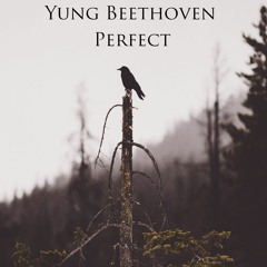 Perfect (prod. CapsCtrl x shrpnss)