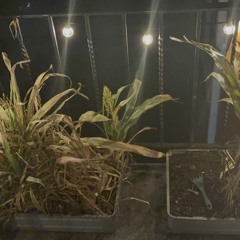 overture (take 4).mp3