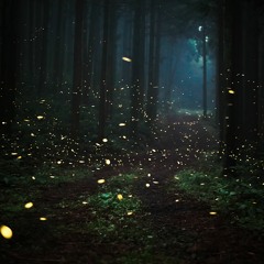 Adios Audio - Firefly (Pashang Synth Remix)