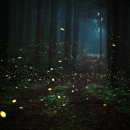 Adios Audio - Firefly (Pashang Synth Remix)