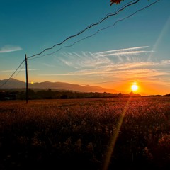 New Dawns