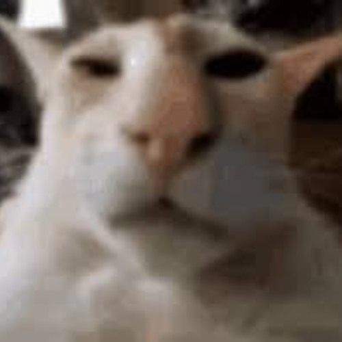 Grindhouse_04_Preverb