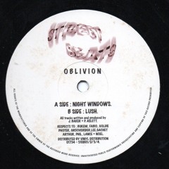 Oblivion - Night Windows
