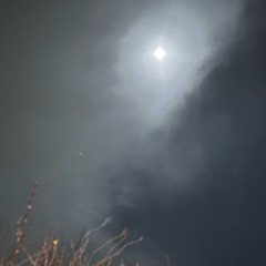 Can You Hear The Stars?-Naviar haiku 635