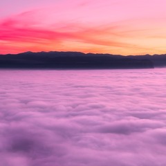 The Sky Above