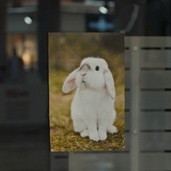 Diamants et perçages