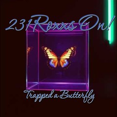 Trapped a Butterfly