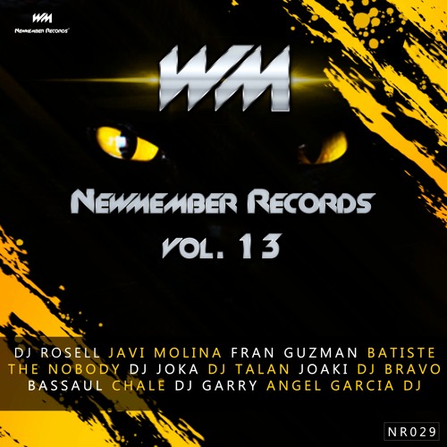Stream Newmember Records | Listen to Newmember Records Vol.13 [NR029]  playlist online for free on SoundCloud