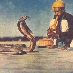 monte's python