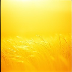 August Breeze Part 2