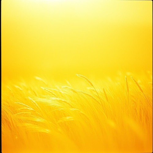 August Breeze Part 2