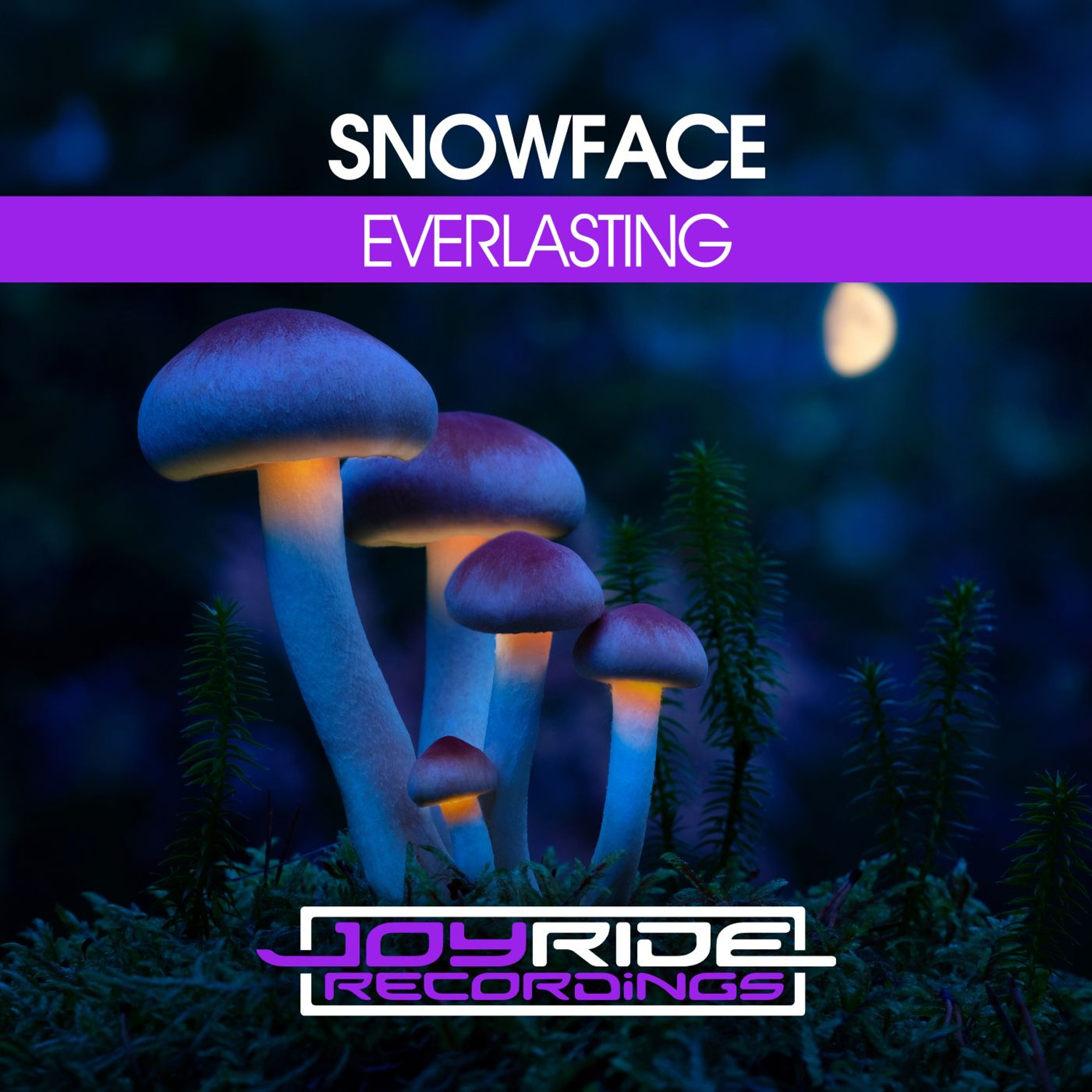 Snowface - Everlasting | Beatport excl. OUT 29 MAY 2026