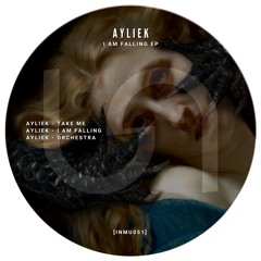Ayliek - Orchestra [INMU051]