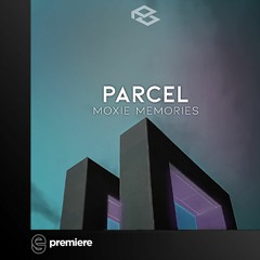 Premiere: Parcel - Wallows - Position Obscure