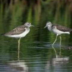 They are all laughing at you