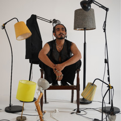 Birds (ft. Shahzeen Khan)