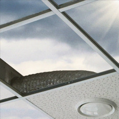 action - realo et notinbed