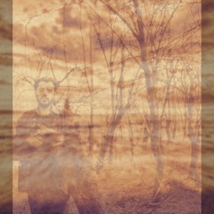 Aslan mohem nin