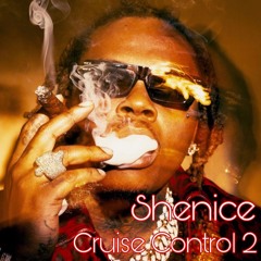Cruise Control Mix 2 / SHENICE DJ / Gunna, Jacquees, Don Toliver + more