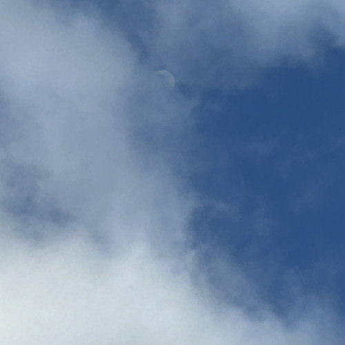 i hope you see this.