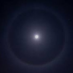 22° Halo - Luna Collective Premiere