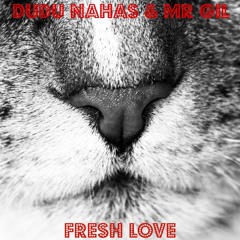 Dudu Naha, Mr Gil - Fresh Love (Original Mix)