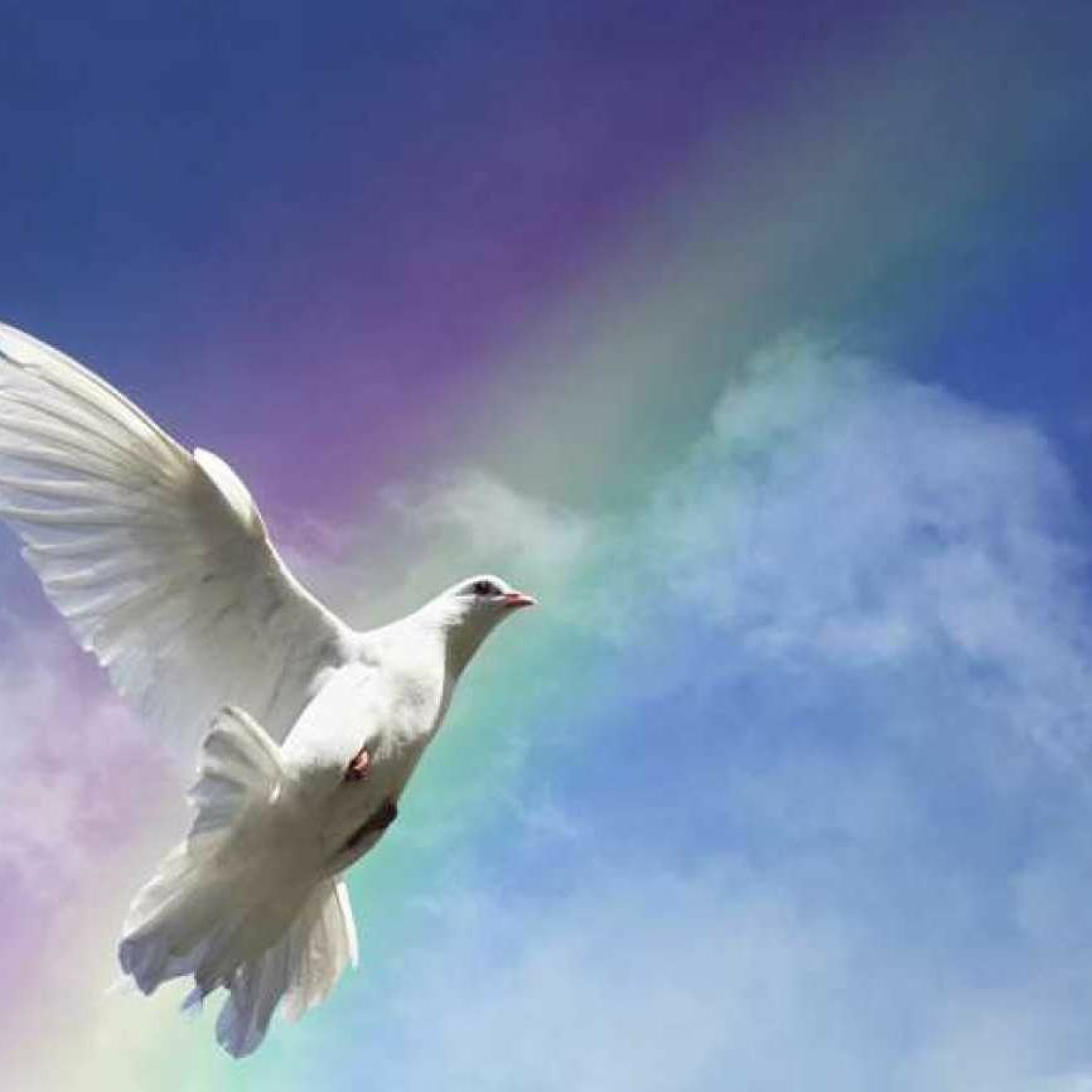 MORE POEMS AND SONGS OF FAITH, HOPE AND COMFORT episode artwork