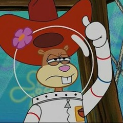 flowers in her hair Instrumental