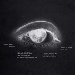 MIDNIGHT TRAIN TO TOKYO