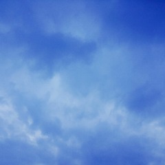 포장마차 - 황인욱