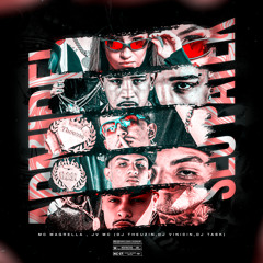 ADMIREI SEU PATEK - DJS THEUZIN VINICIN & TASK MCS MAGRELLA E JV