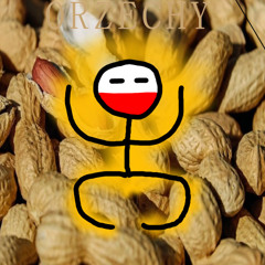 Orzechy