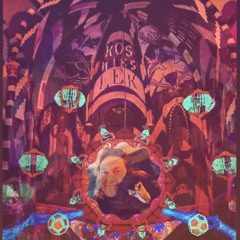 Stefnitz at the Home of the Gnomes