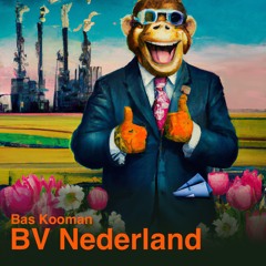 BV Nederland (mastered)